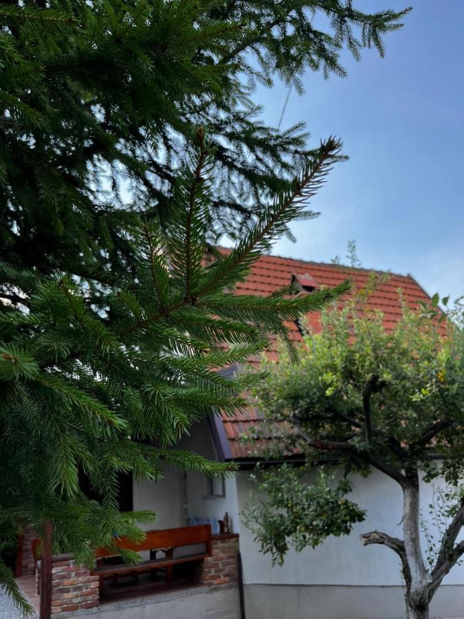 Holiday Home Amila Високо Экстерьер фото